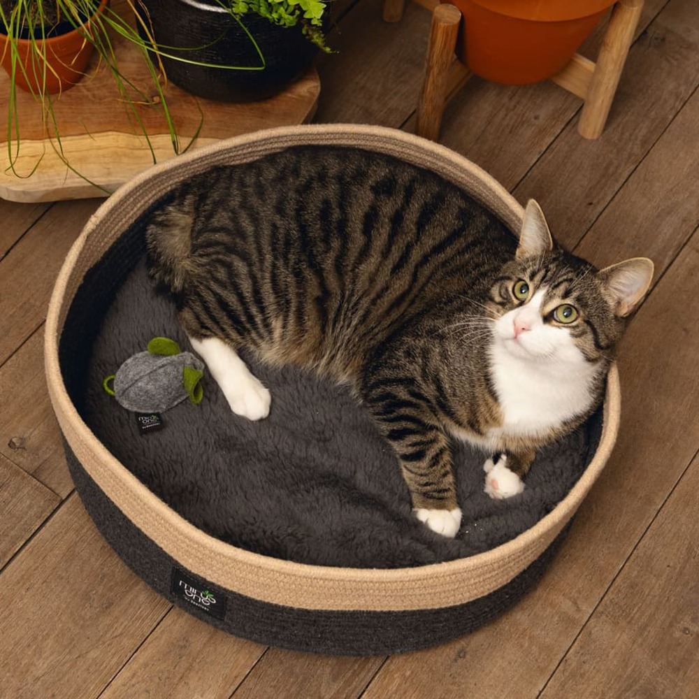 Lit pour chat minus one xana 45x14 cm gris et marron