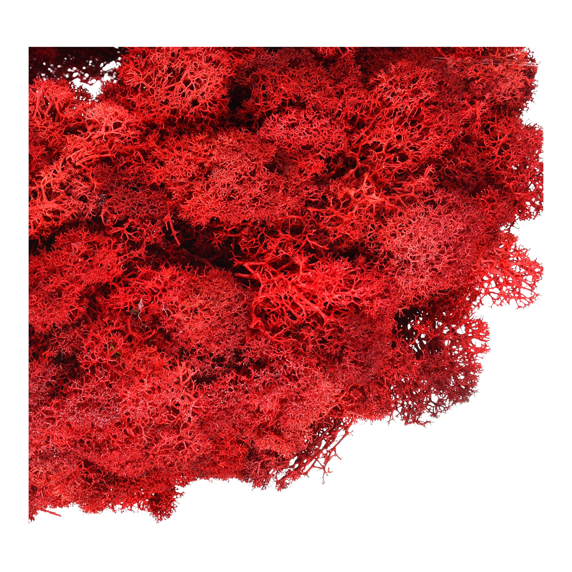 rot, ⌀ 30 cm