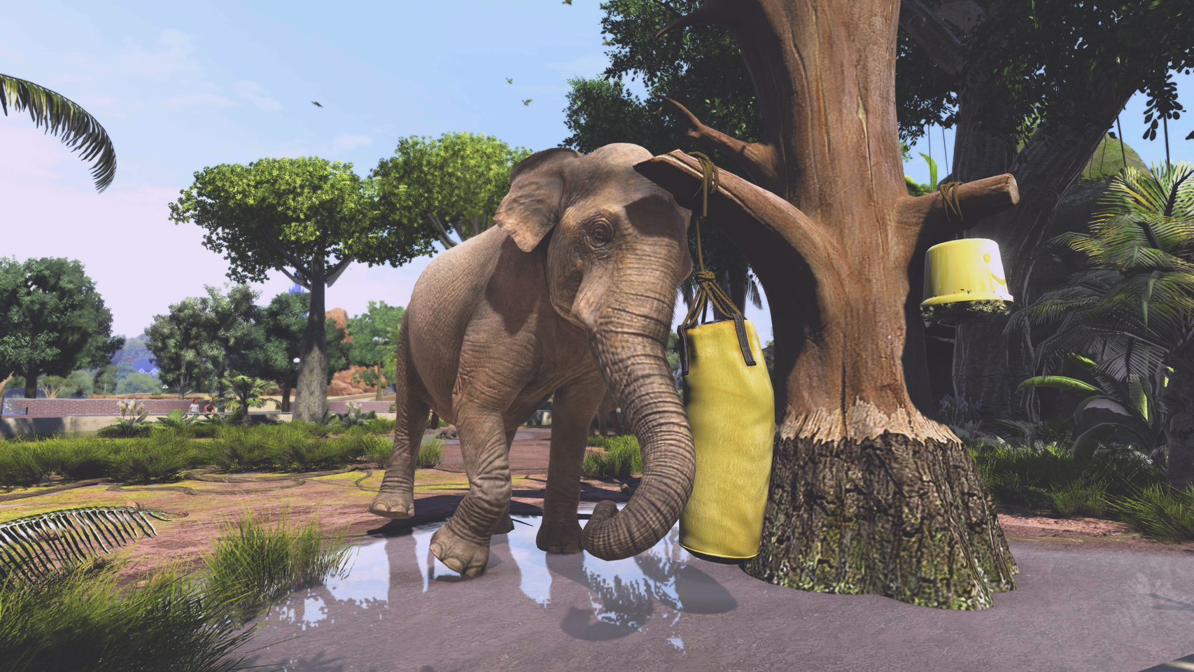 Zoo Tycoon: Ultimate Animal Collection- PC