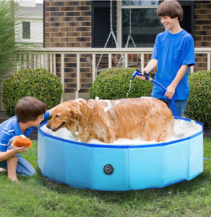 (Ø160cm) Hunde Pool Haustier Schwimmbad Faltbares Sommer Planschbecken - Blau