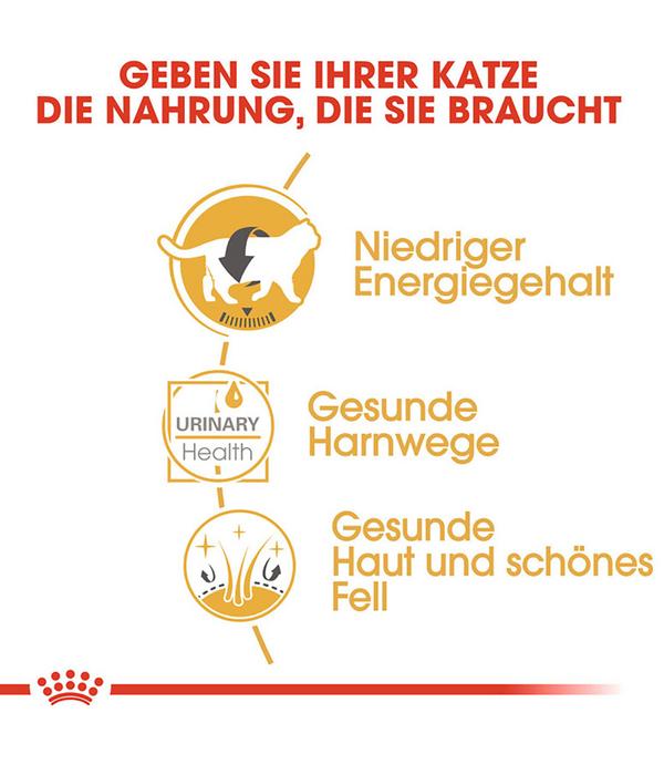 ROYAL CANIN® Nassfutter für Katzen British