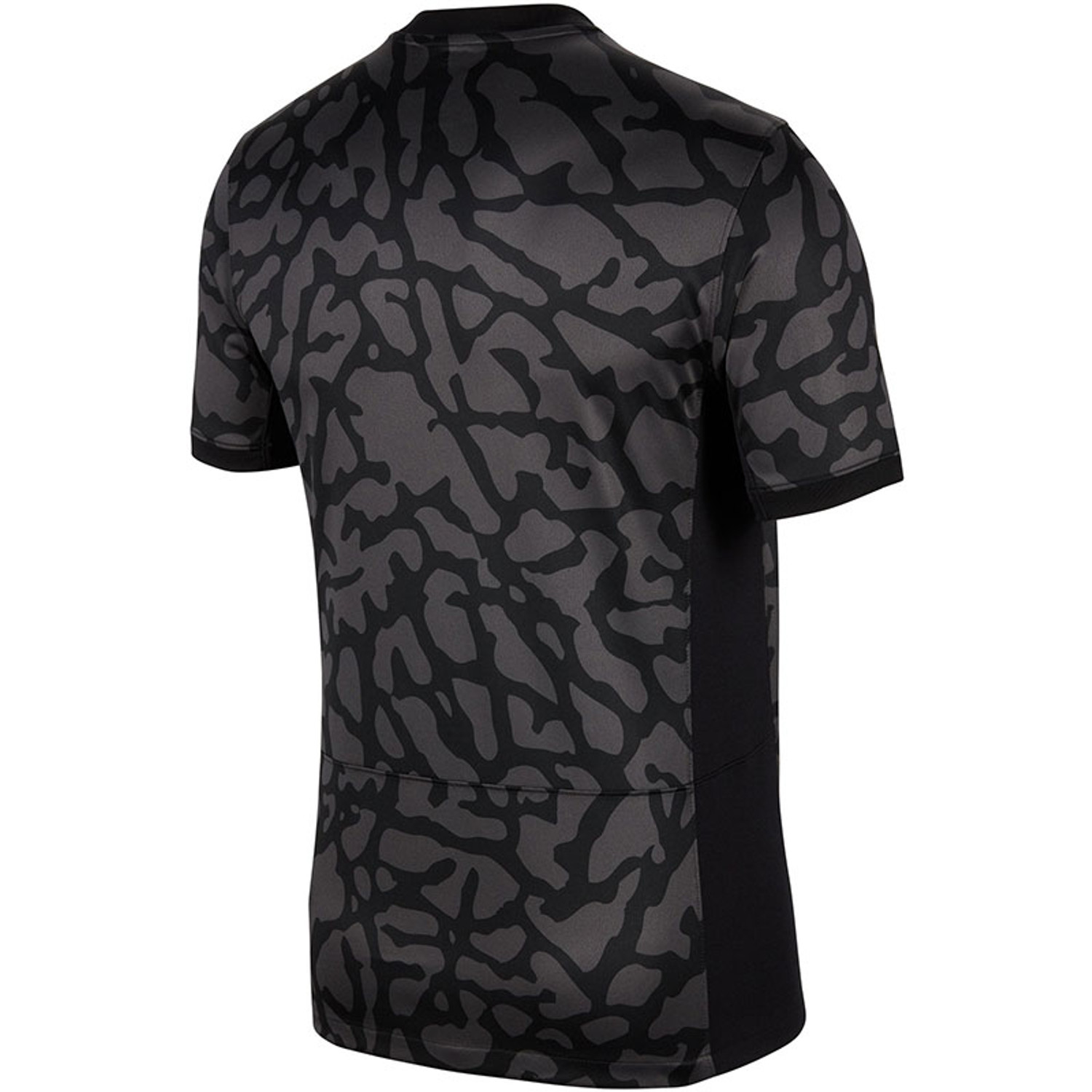 Nike Paris Saint-Germain 3rd Tenue