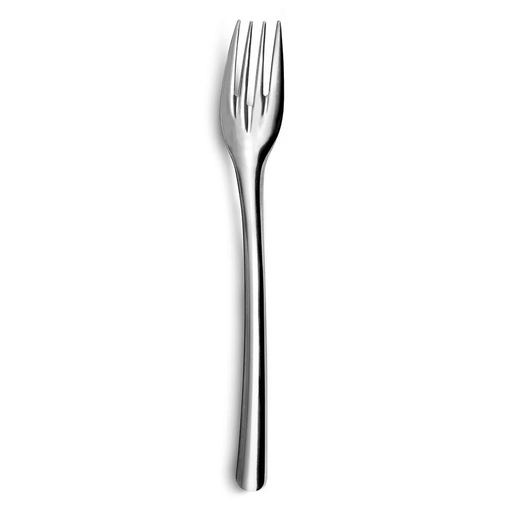 Fourchette inox x12