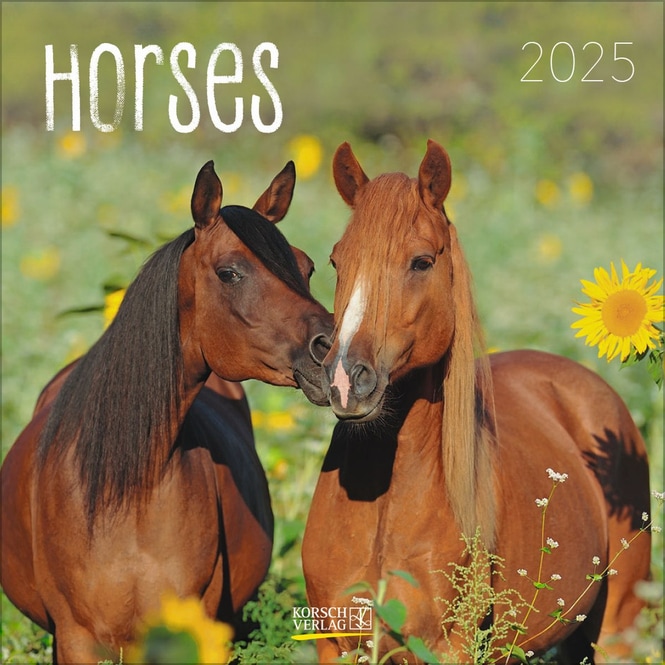 Kalender - 2025 - Horses