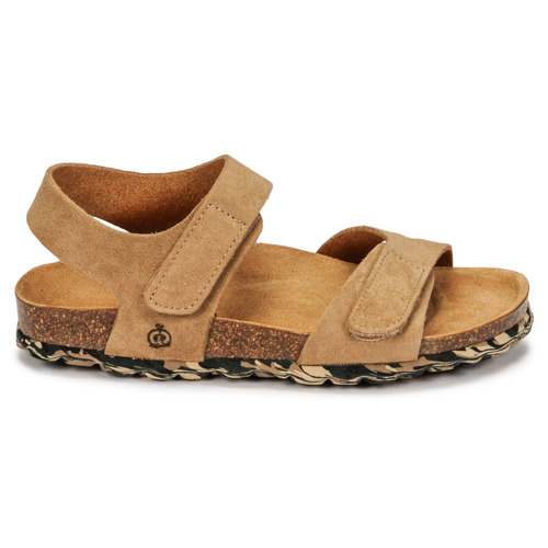 Citrouille et Compagnie - BELLI JOE - Beige