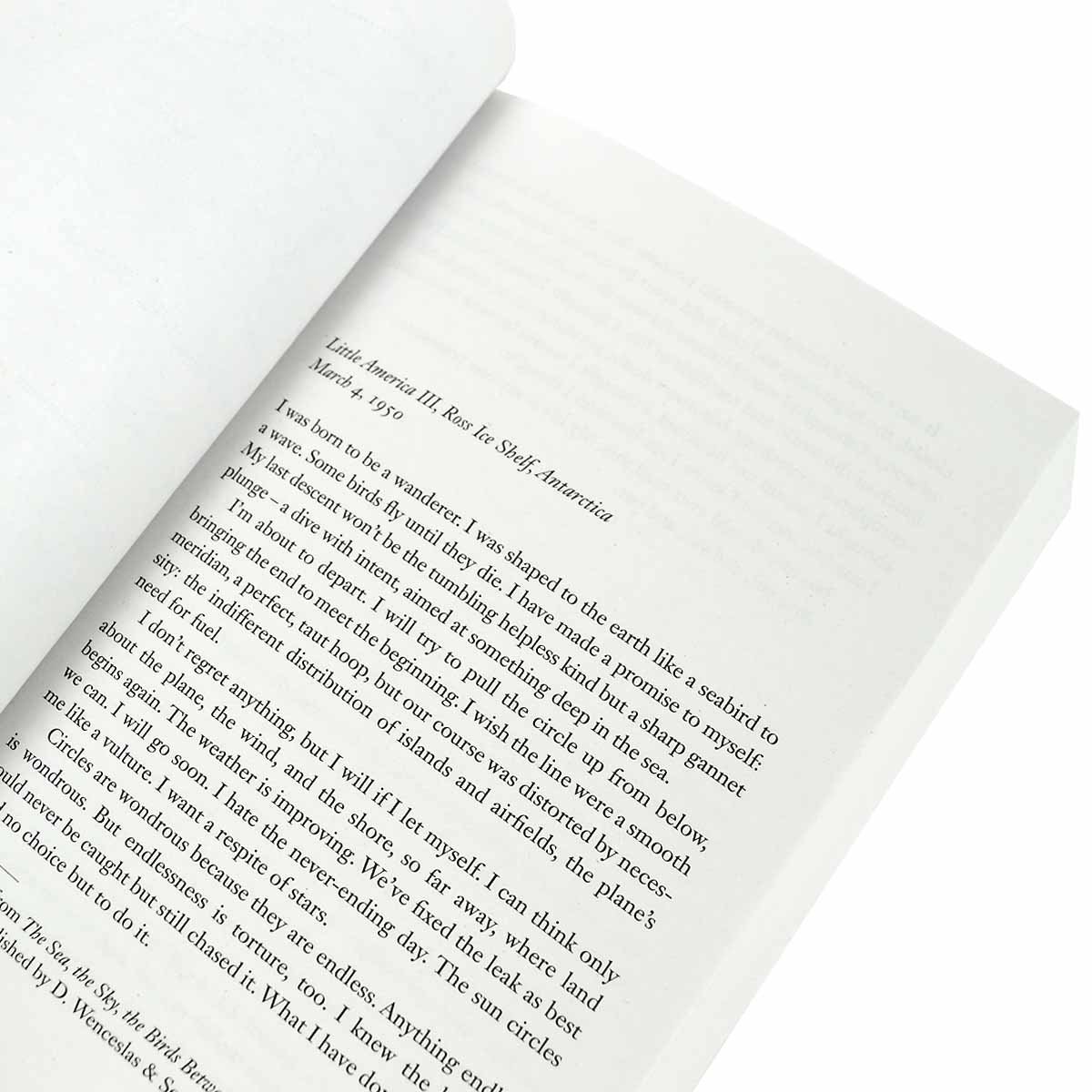 Great Circle (Paperback)
