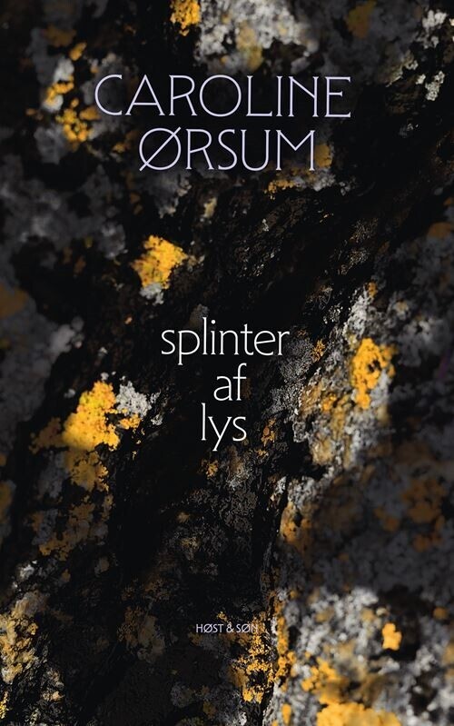 Splinter Af Lys - Caroline Ørsum - Bog