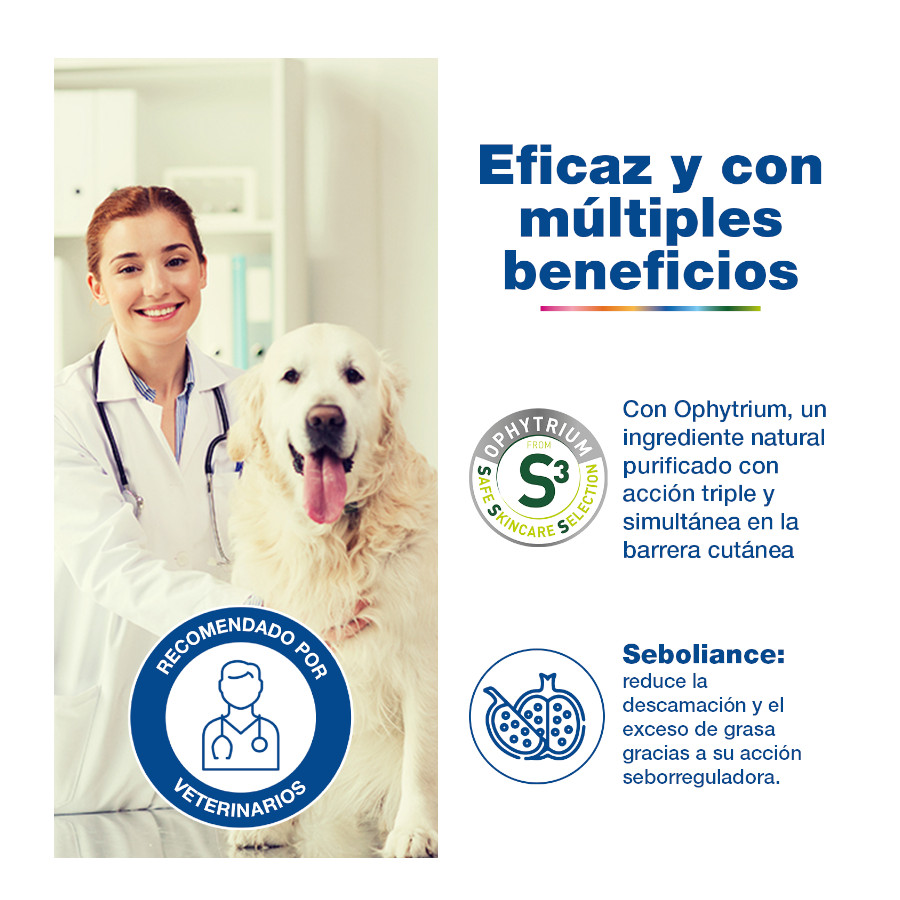 Shampoo Douxo S3 Seb para Pele Oleosa em Cães e Gatos