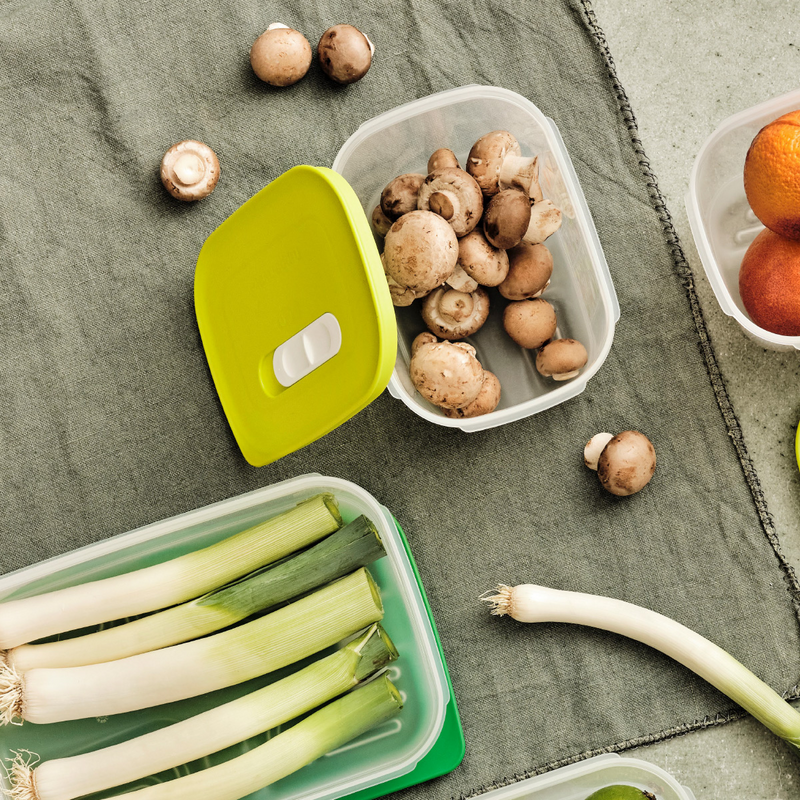 KlimaOasen-Set (5) Grundausstattung zum Frischhalten von Gemüse, Obst und Kräuter