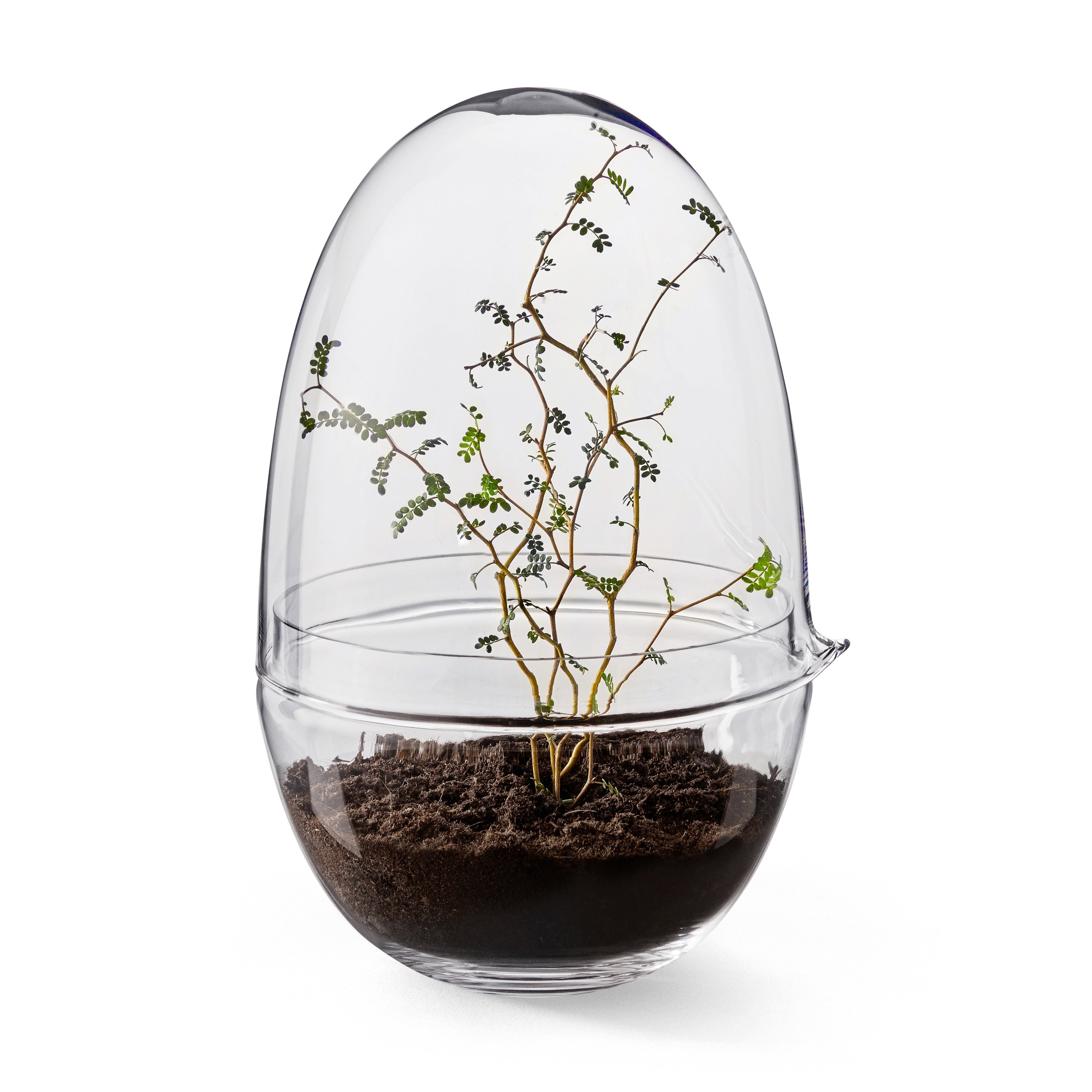 Design House Stockholm Grow Kweekkas