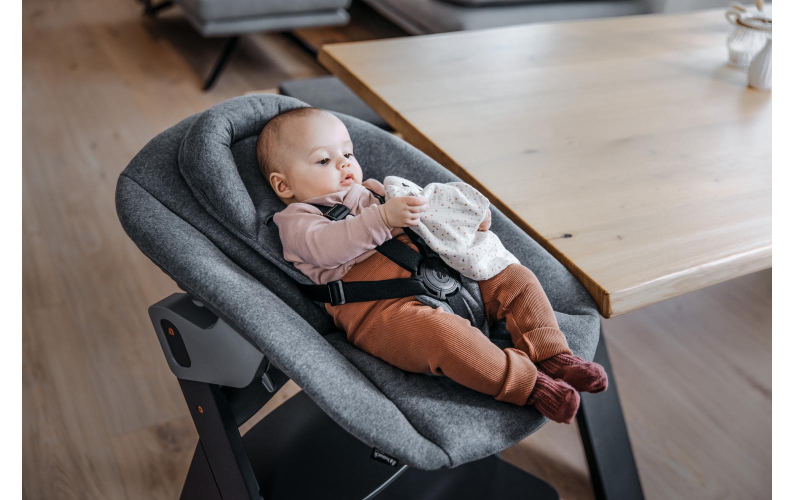 Hochstuhlaufsatz Alpha Bouncer Premium Dark Grey2in1: Babywippe und Aufsatz für Hauck Hochstuhl