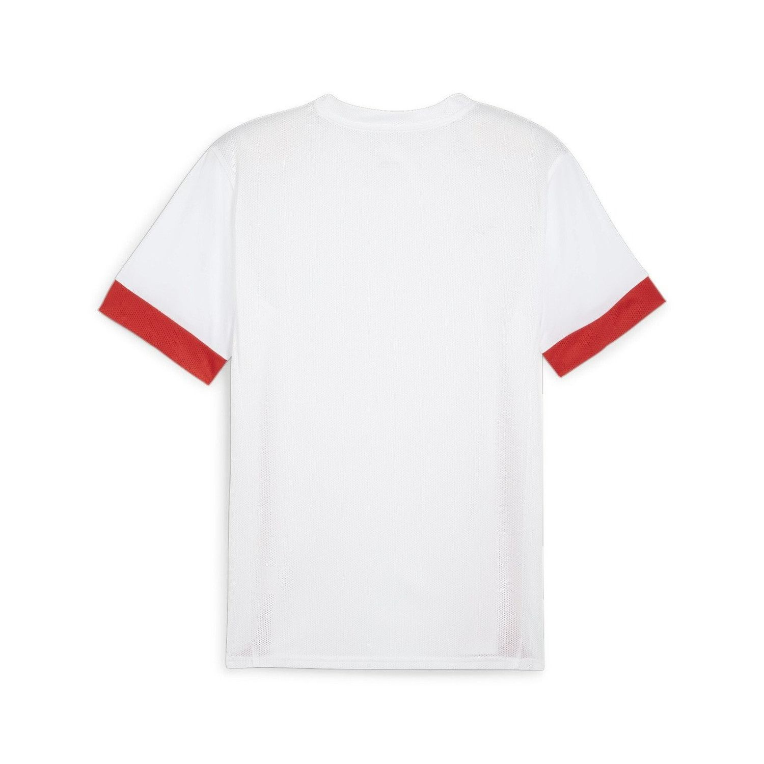 Puma GOAL Training Shirt