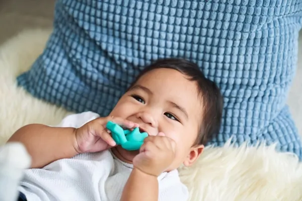Matchstick Monkey Teether Dinosaur