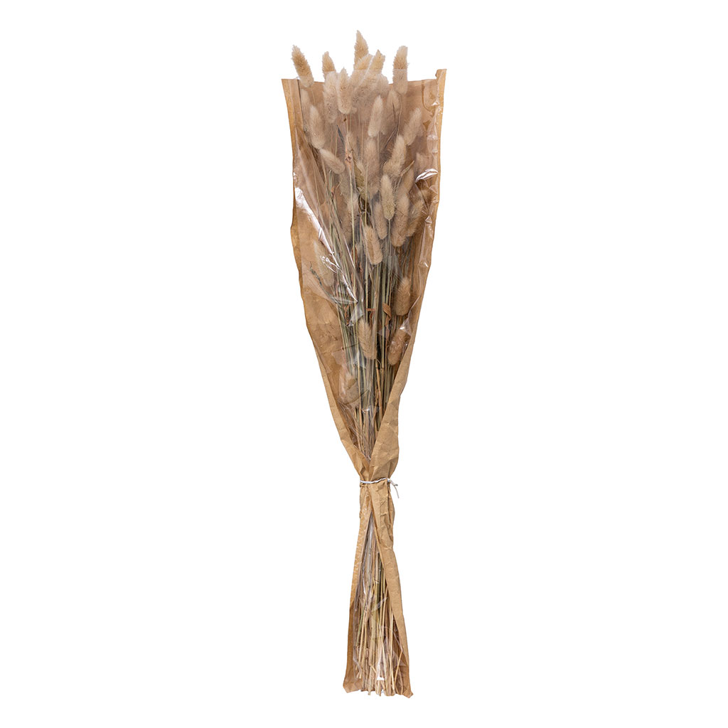 Bouquet de queues de lapin H 58cm