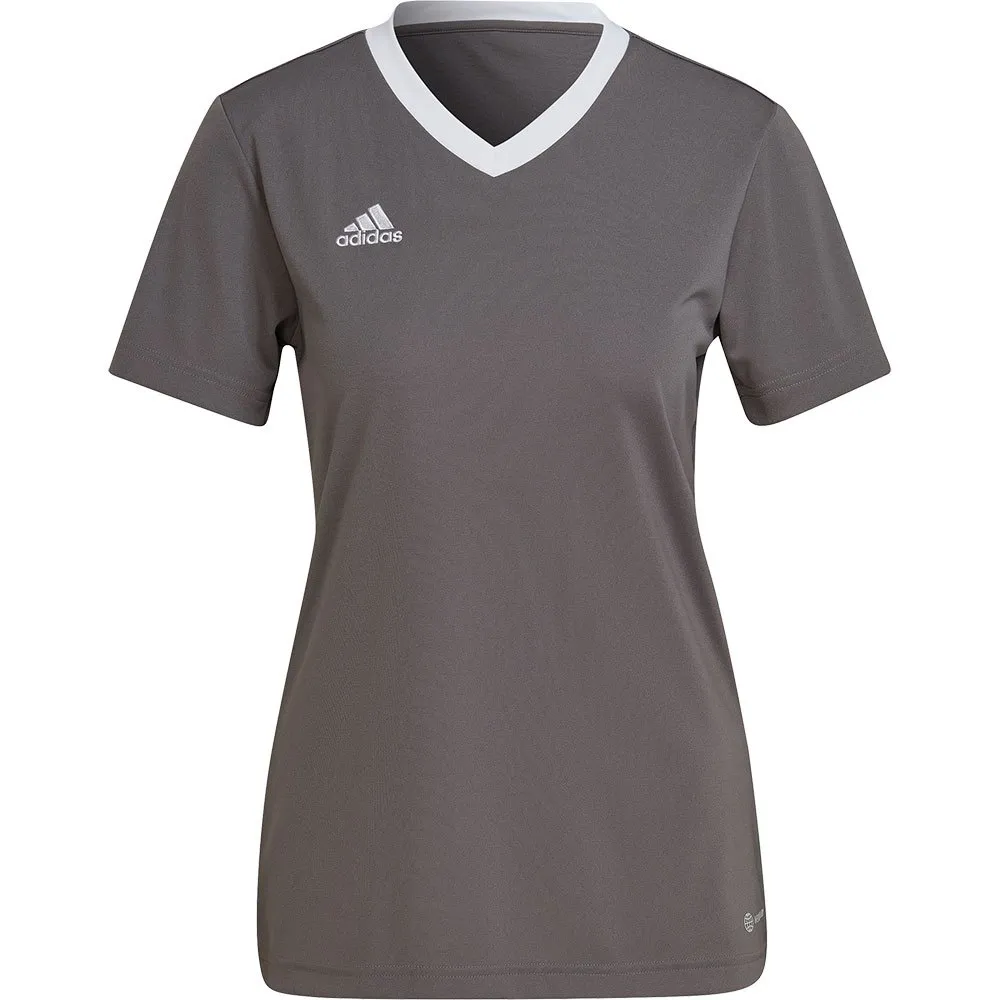 Camiseta de manga curta adidas Entrada 22