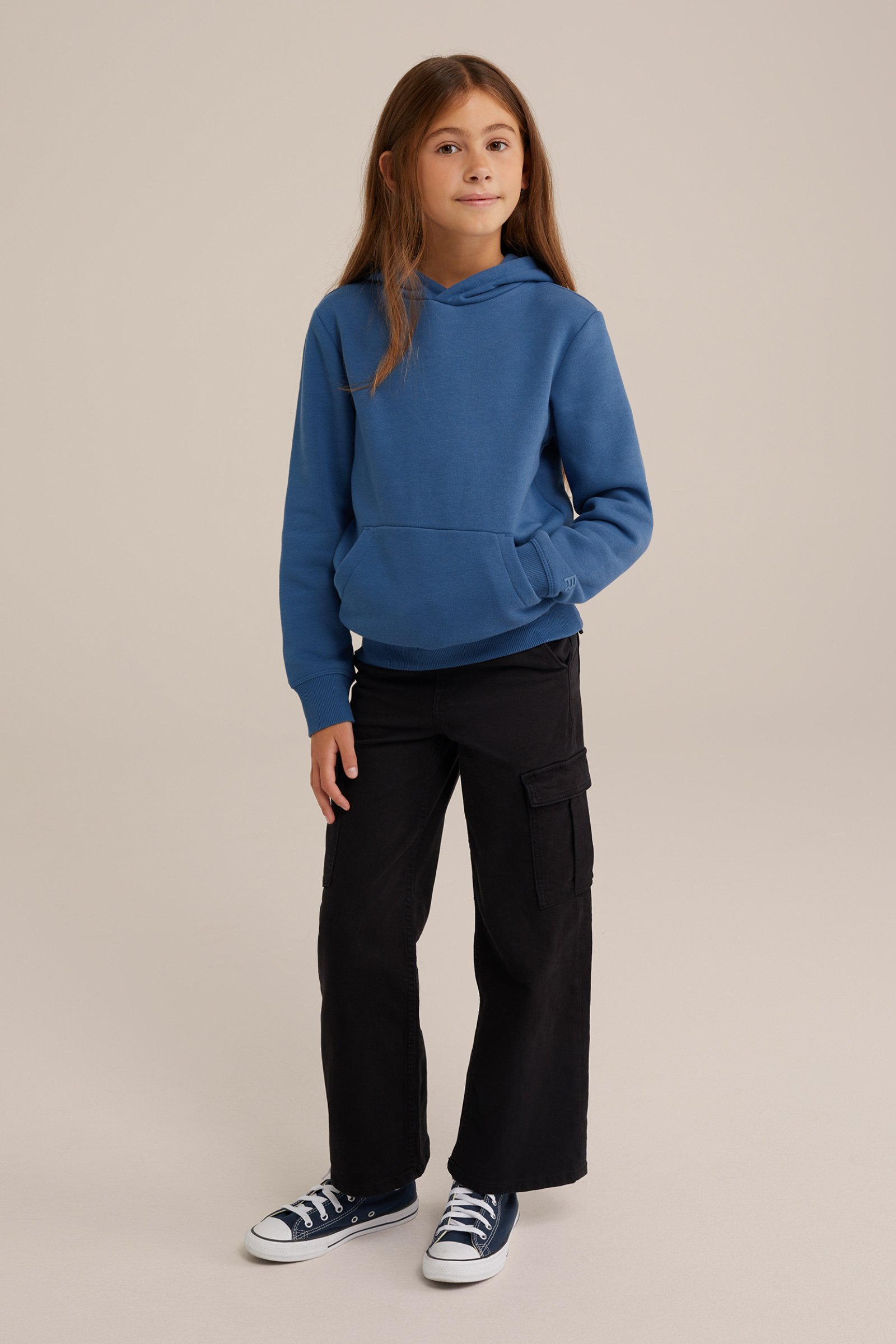 Unisex hoodie Blue Ridge Pastelblauw