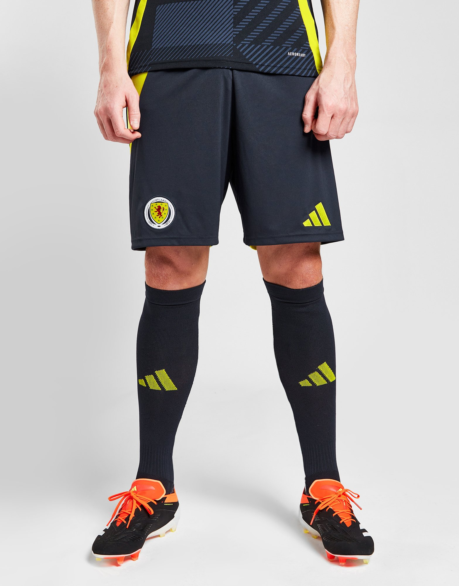 adidas Short Ecosse 2024 Match Domicile Homme