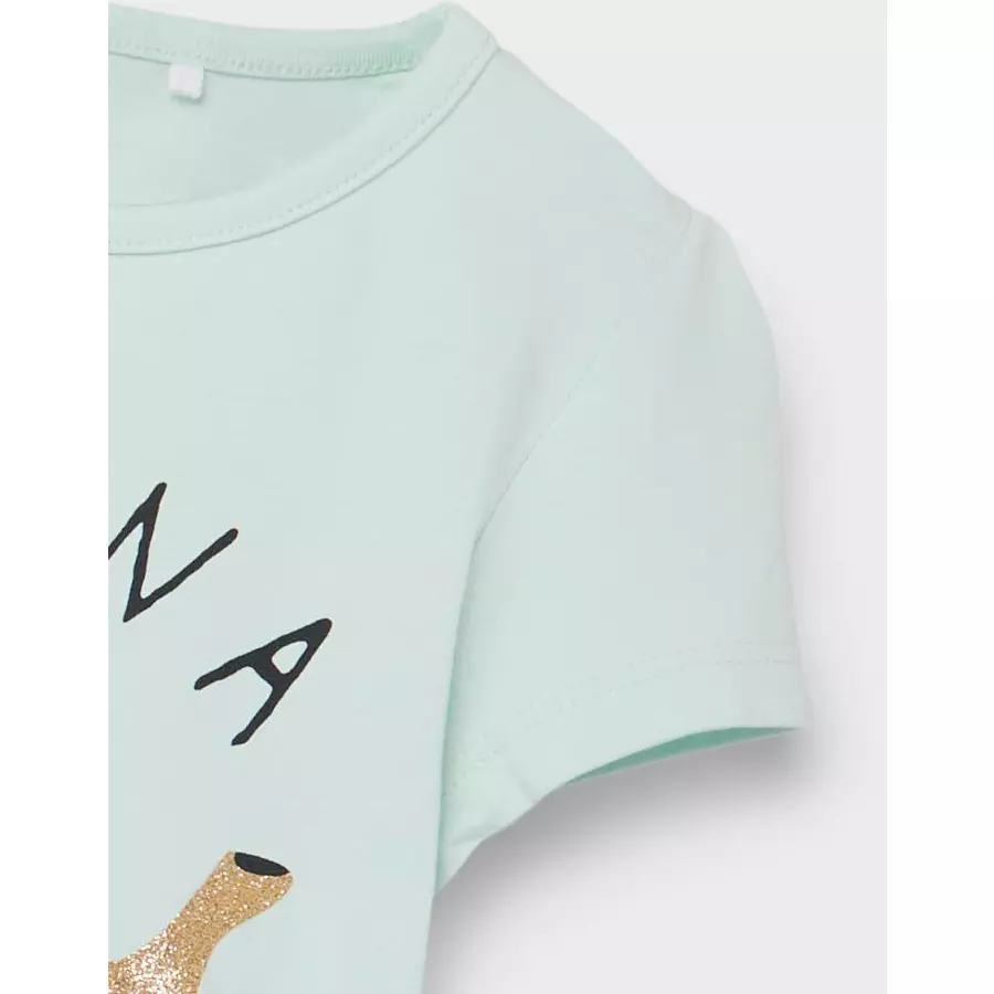 name it T-Shirt Nmfvibeke Glacier