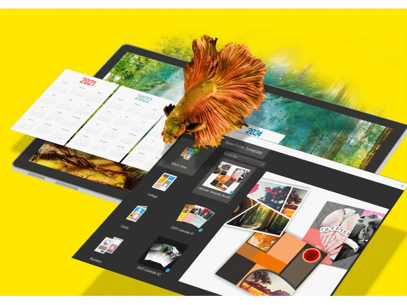 Corel PaintShop Pro 2023 Box, Vollversion Bildbearbeitungsprogramm für Windows