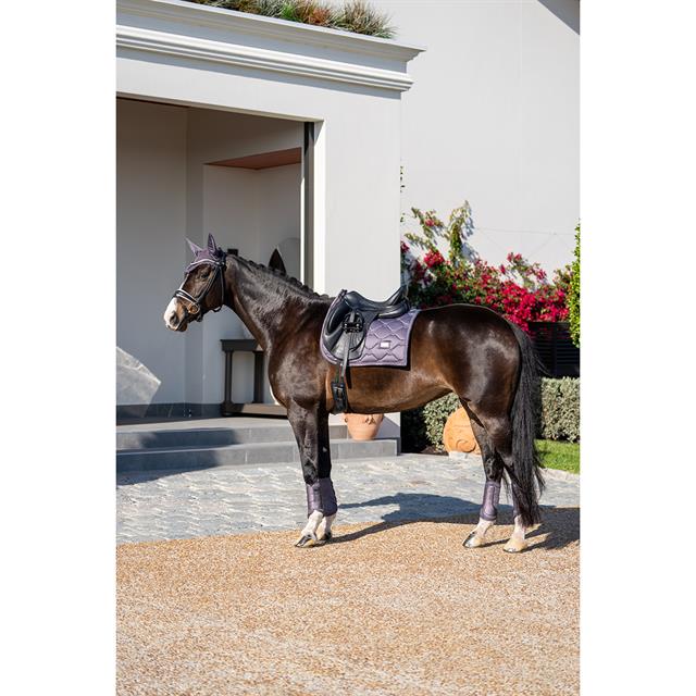 Beenbeschermers Equestrian Stockholm Mesh Dark Violet Paars