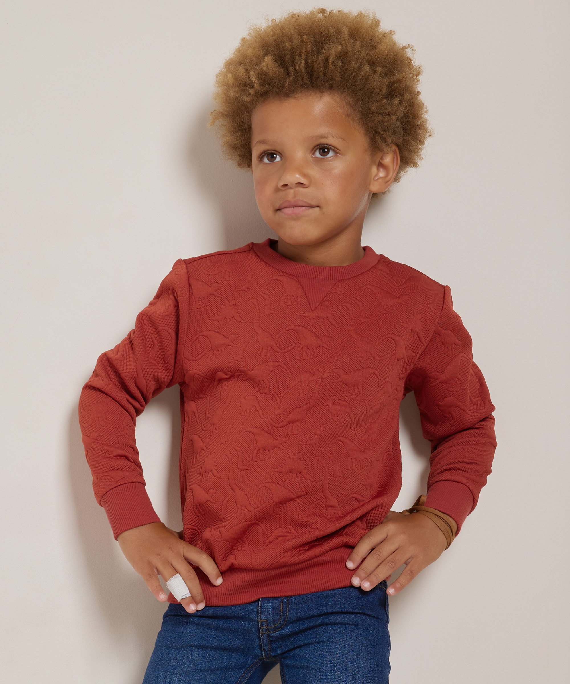 jacquard trui dino