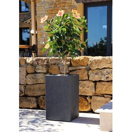 poétic Bac à plantes BASALT UP, colonne, (H)495 mm, anthraci