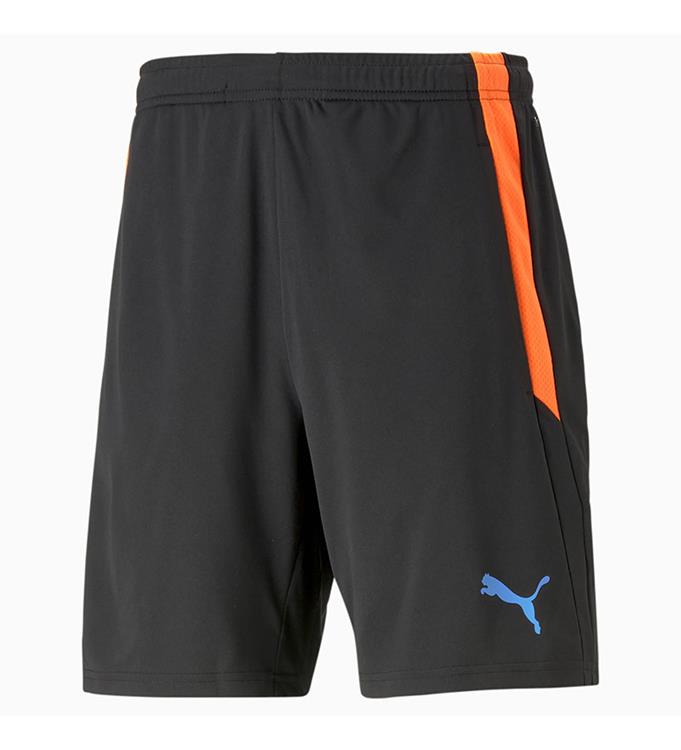 PUMA Men Teamliga Training Shorts 2