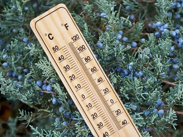 Termometer