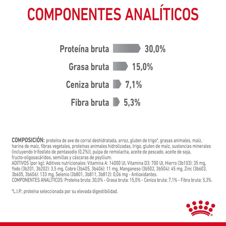 Ração oral Royal Canin Adult para gatos