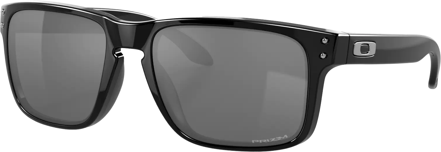 Holbrook  E155/Polished Black w/Prizm Black