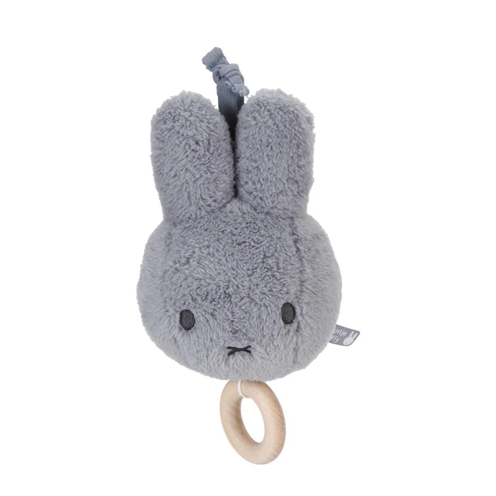Muziekdoosje Fluffy blue