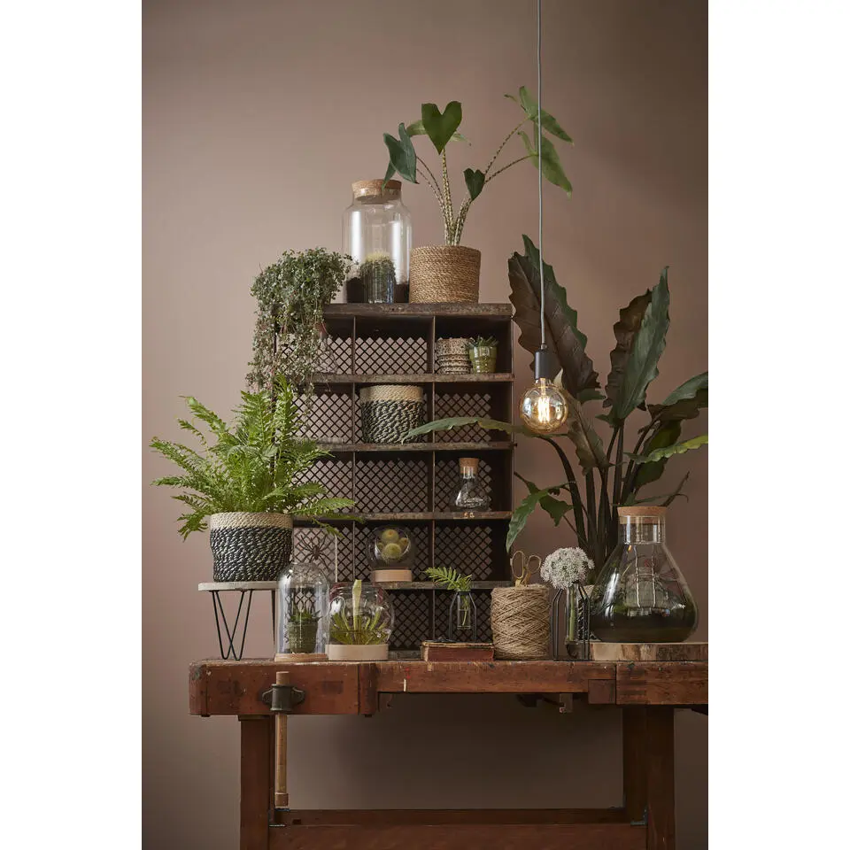Mica Decorations Bonaparte Mand voor Planten Ø20 cm