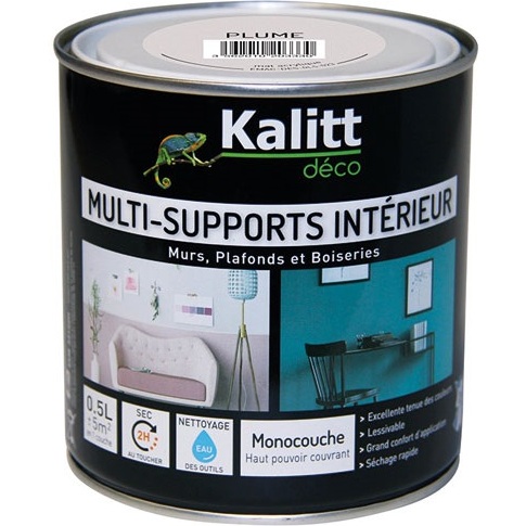 Peinture multi-supports 0,5 L Acrylique Mat - Plume