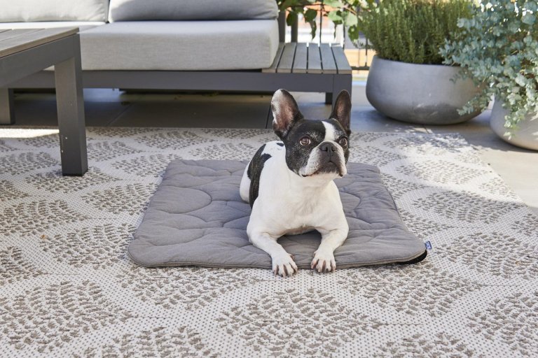 MiaCara Linea hondenplaid small anthracite