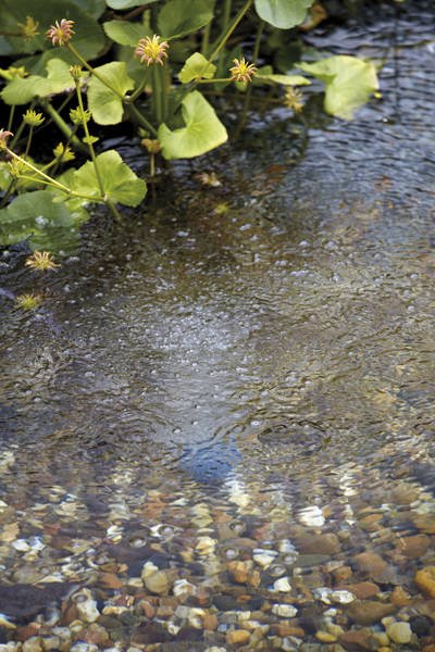 Oase AquaOxy 500 Luchtpomp voor zuurstofvoorziening
