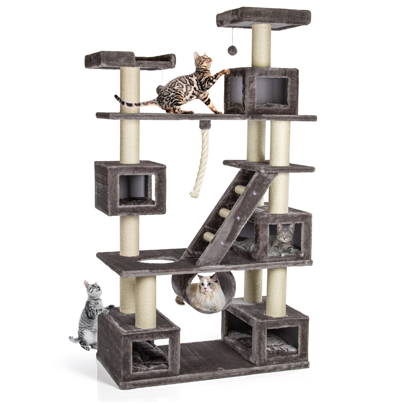 Canadian Cat Company Kratzbaum Logan
