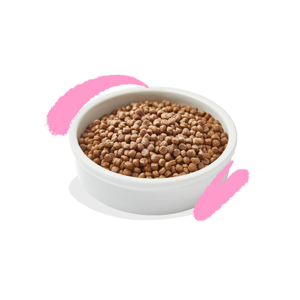Edgard & Cooper Brokjes - Kattenvoer - 325 Gram - kip, eend