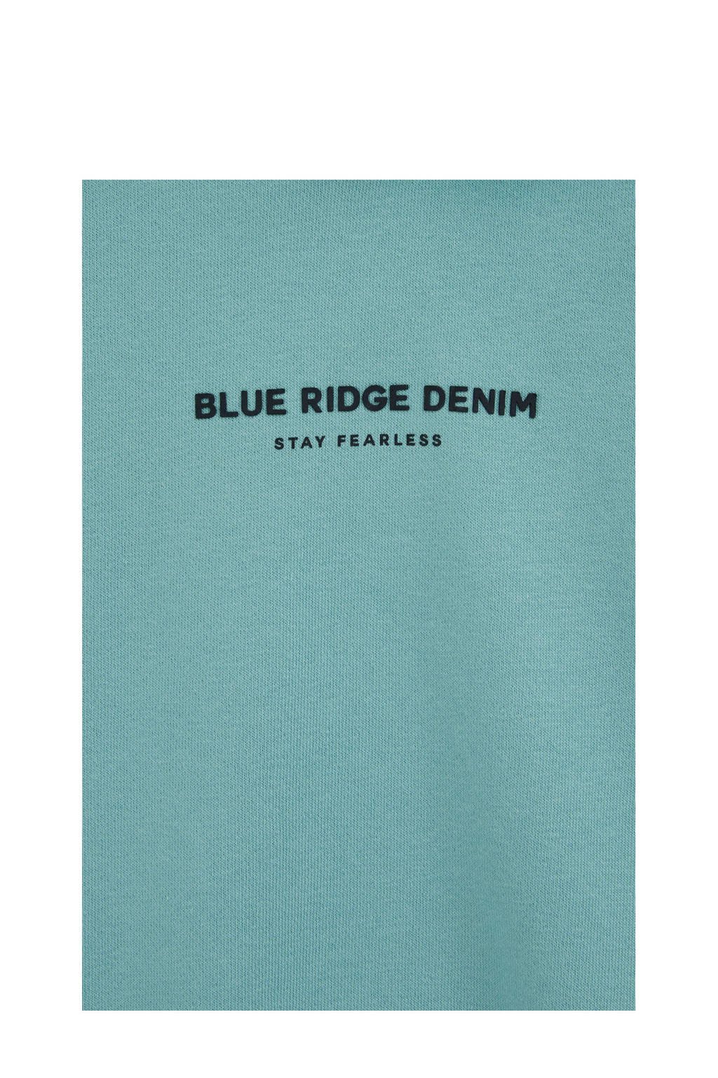 WE Fashion Blue Ridge hoodie blauw