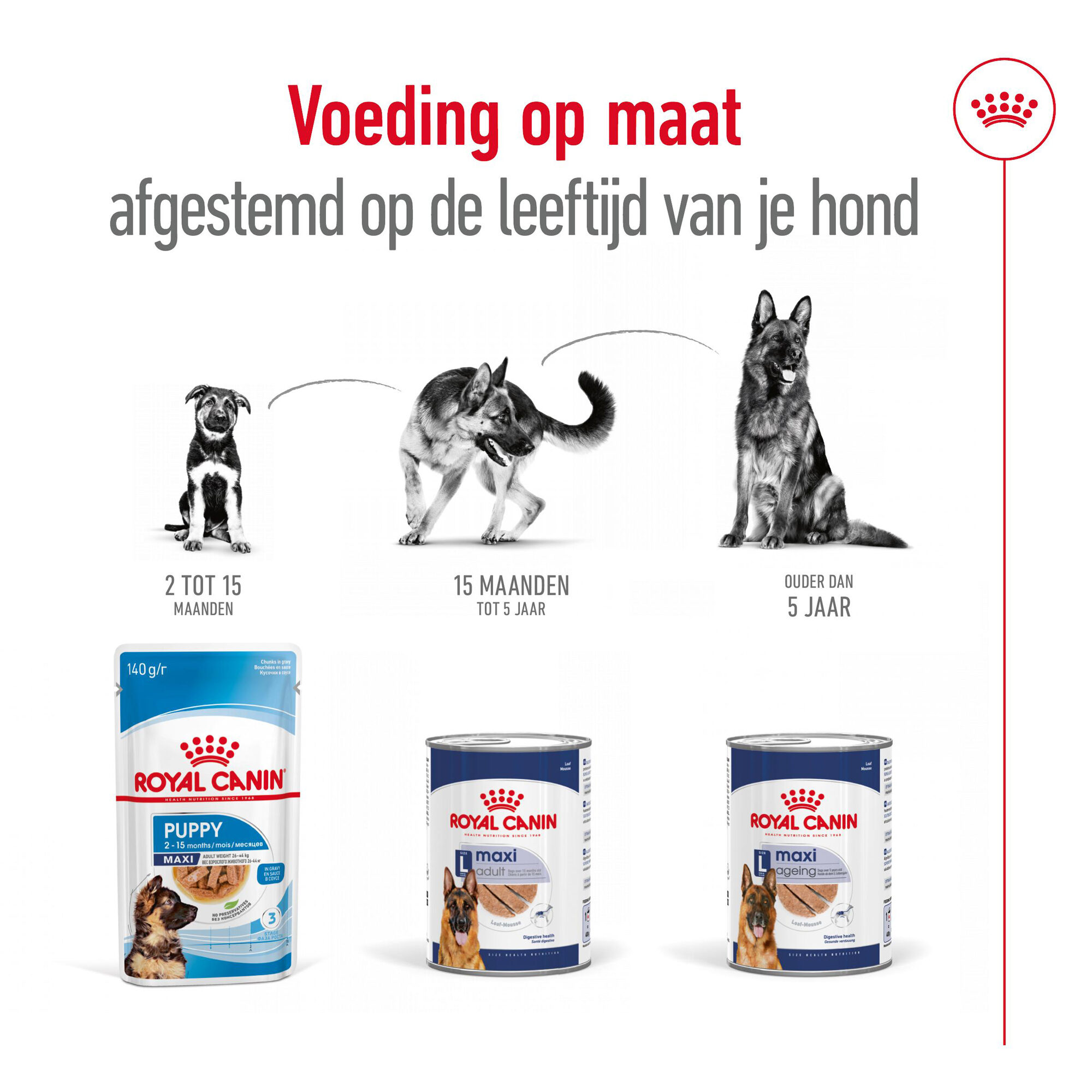 Royal Canin Maxi Adult Wet - Blik - Hondenvoer
