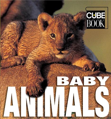 Baby Animals: Minicube (Hardback)
