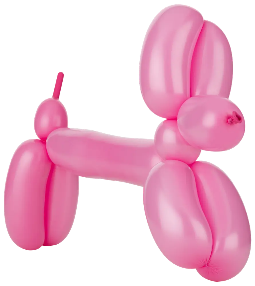 Ballon til ballondyr 20 stk. med pumpe