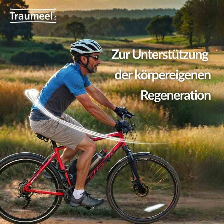Traumeel S Tabletten, 250 St