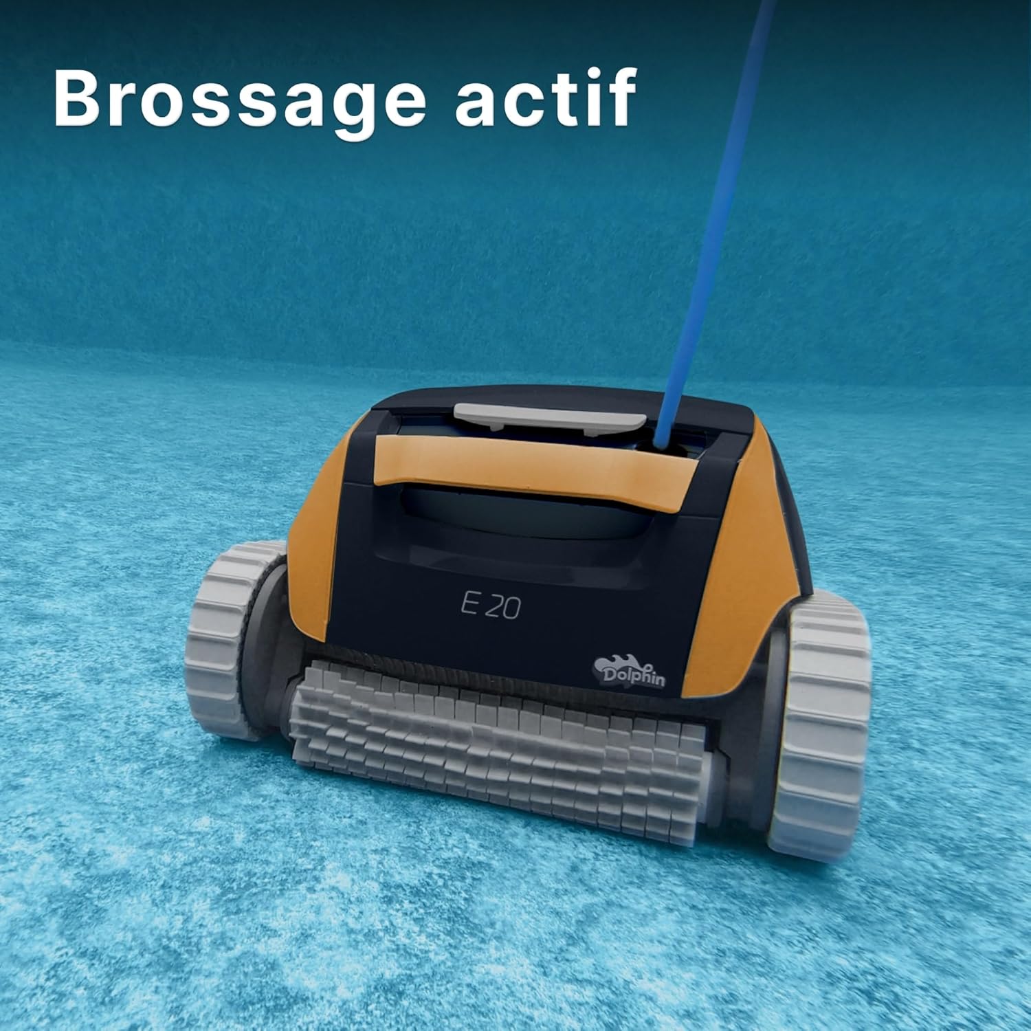 Dolphin E20 Robot Nettoyeur électrique avec Fil pour Piscine Hors-Sol Jusqu’à 10 m - Nettoyage Fond et parois - Économie d'énergie