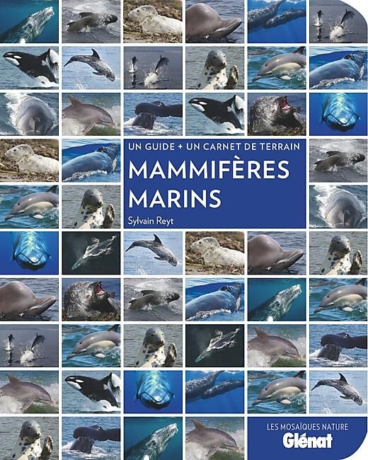 GLENAT - MAMMIFERES MARINS