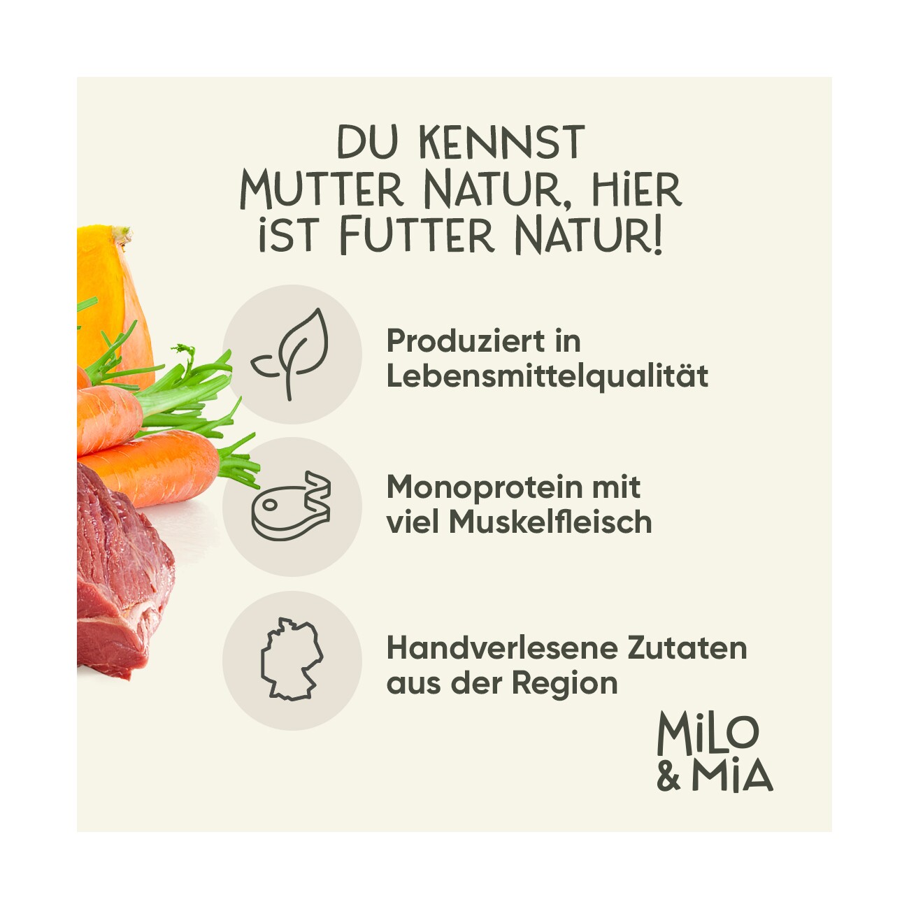 Milo & Mia Insekten & Süßkartoffel 6x400 g