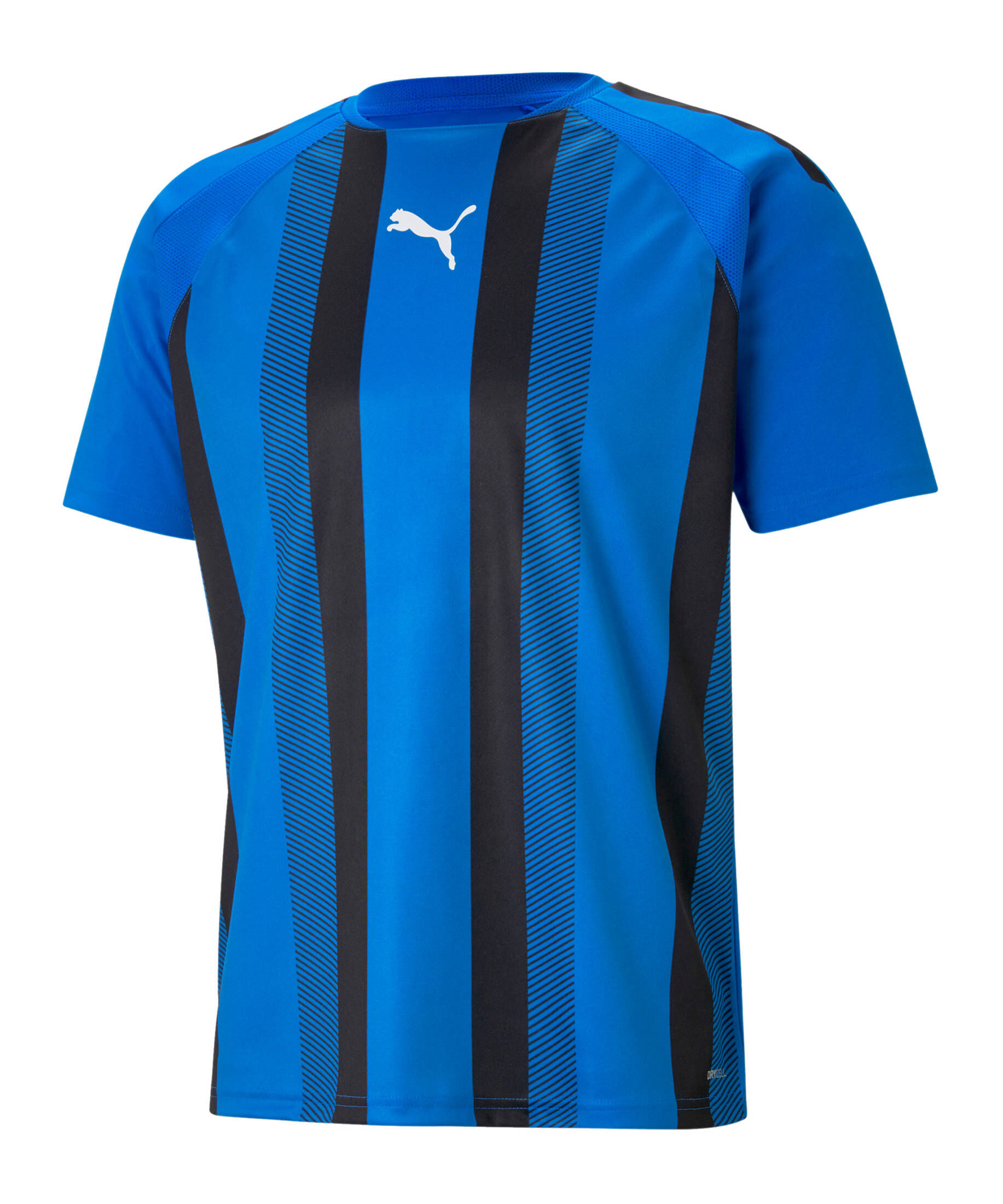 Puma| Herren Fußball - Teamsport Textil - Trikots teamLIGA Striped Trikot