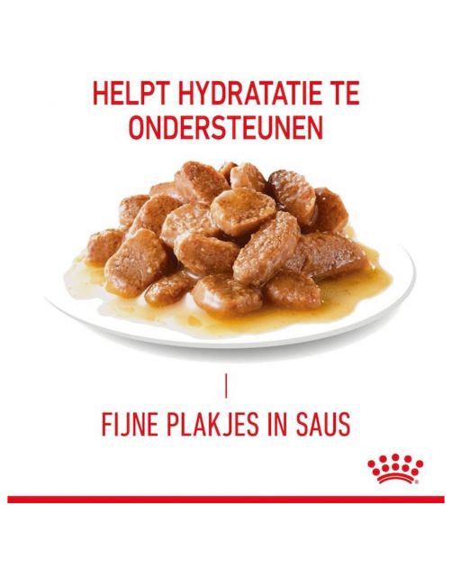 Royal Canin Hair & Skin - In Gravy - Kattenvoer - 85 g
