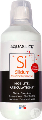 Aquasilice Silicium Buvable Collagène Monométhylsilanetriol Mobilité Articulations 1l