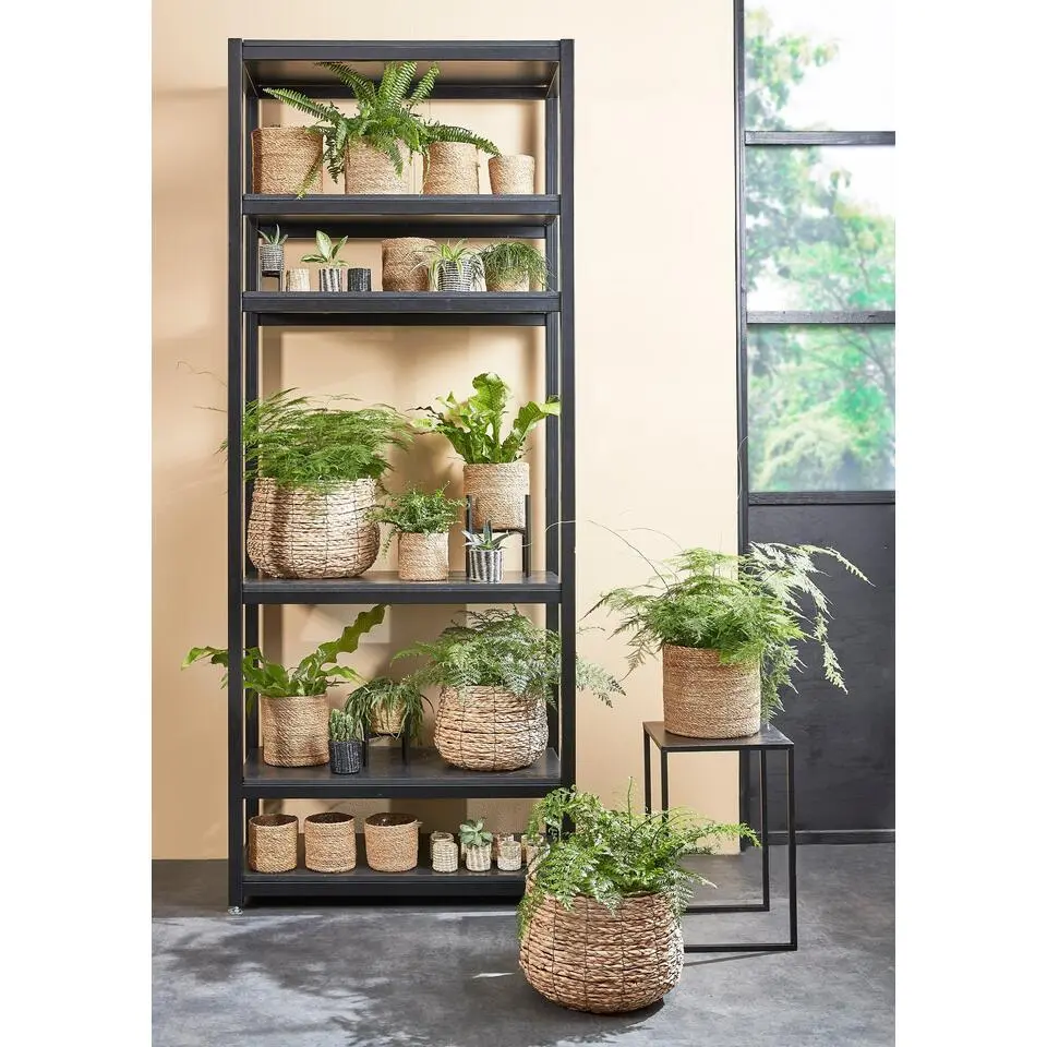 Mica Decorations Atlantic Mand voor Planten Set van 2