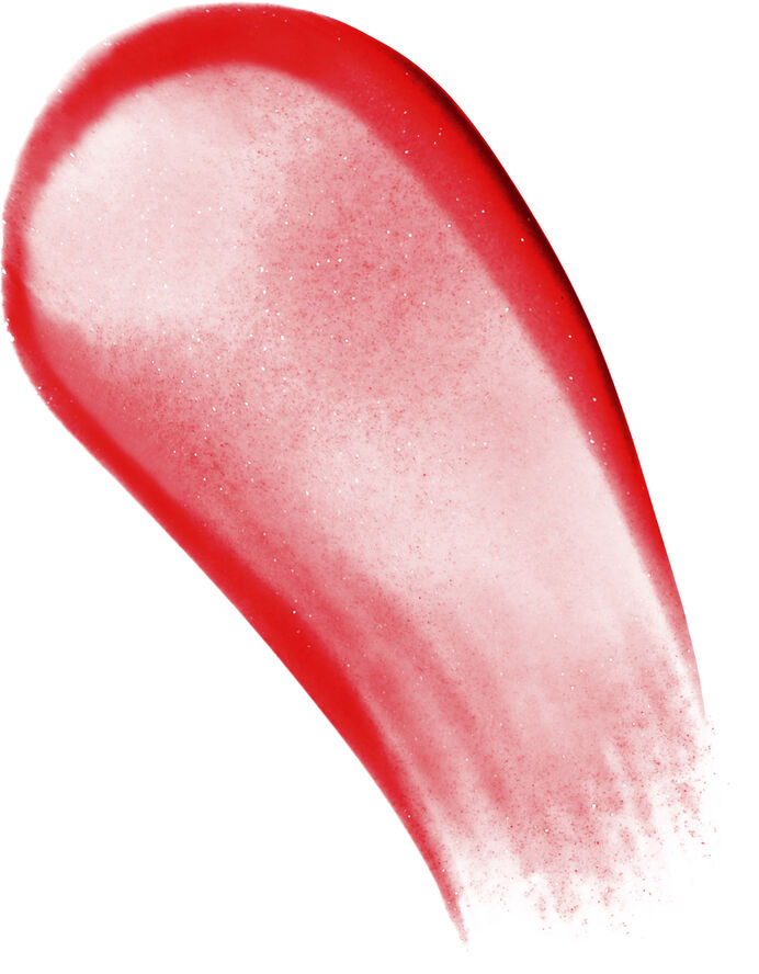 L'Oréal Paris Color Riche Plump & Shine